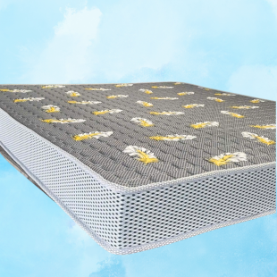 Nệm cao su tổng hợp - 20cm 